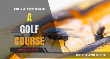 Effective Strategies to Eliminate Gnats and Improve Golf Course Conditions