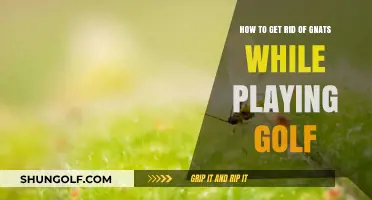 Swing Without Gnats: Effective Tips for Pest-Free Golfing Experience