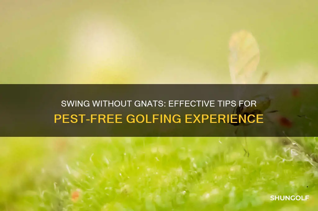 how to get rid of gnats while playing golf