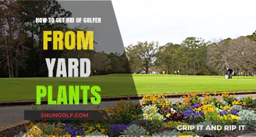 Effective Ways to Keep Golfers Out of Your Yard Plants