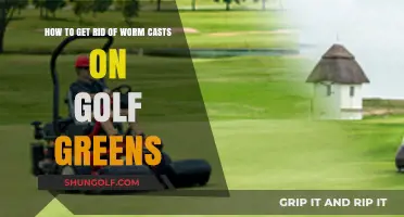 Effective Strategies to Eliminate Worm Casts on Golf Greens