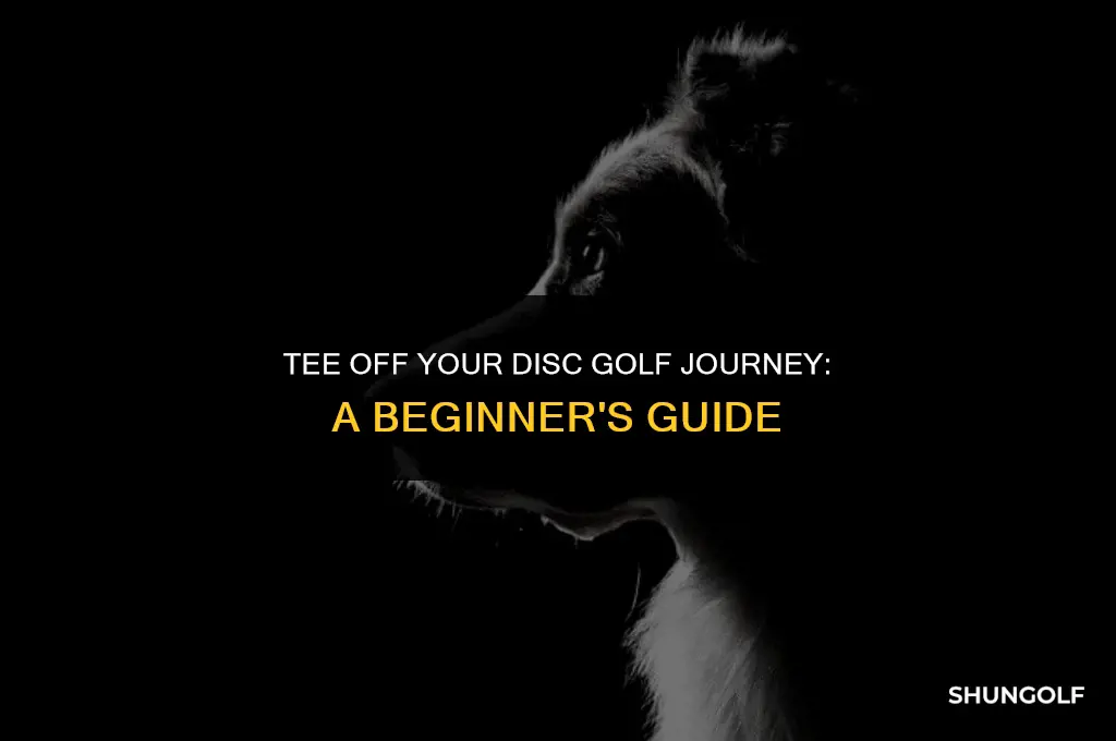 how to get started disc golf