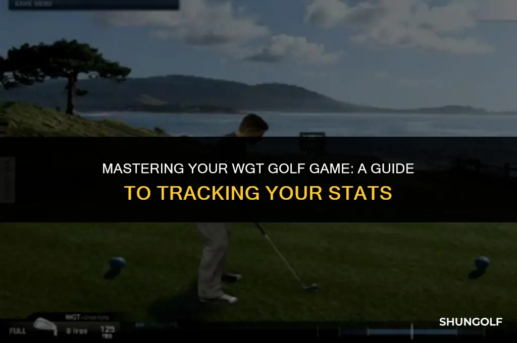 how to get stats on wgt golf