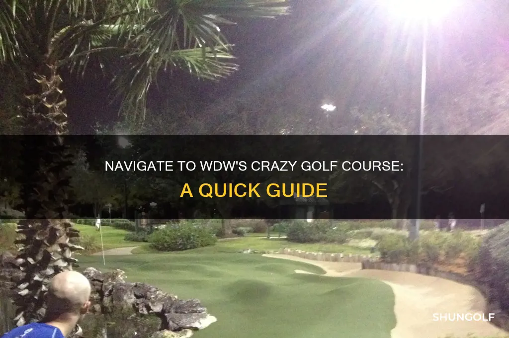how to get to wdw crazy golf course