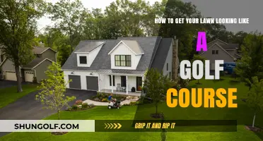 Achieve a Perfect Lawn: Golf Course-Worthy Grass in Your Backyard