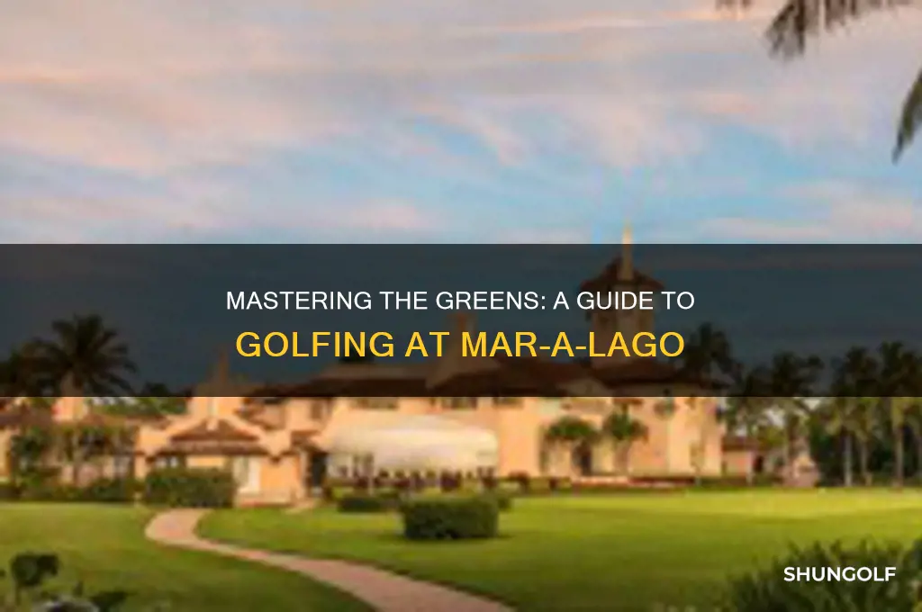 how to golf at mar a lago