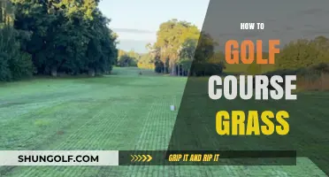 Mastering Golf Course Grass: Essential Tips for Perfect Turf Care