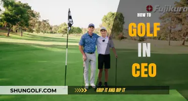 Golfing with CEOs: A Guide to Success