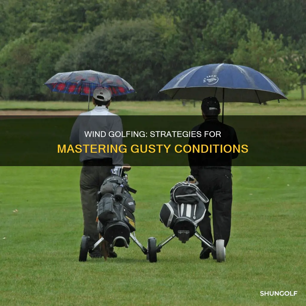 how to golf in the wind