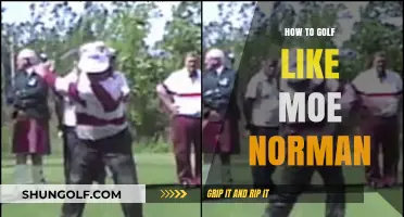 Master Moe Norman's Golf Swing Secrets