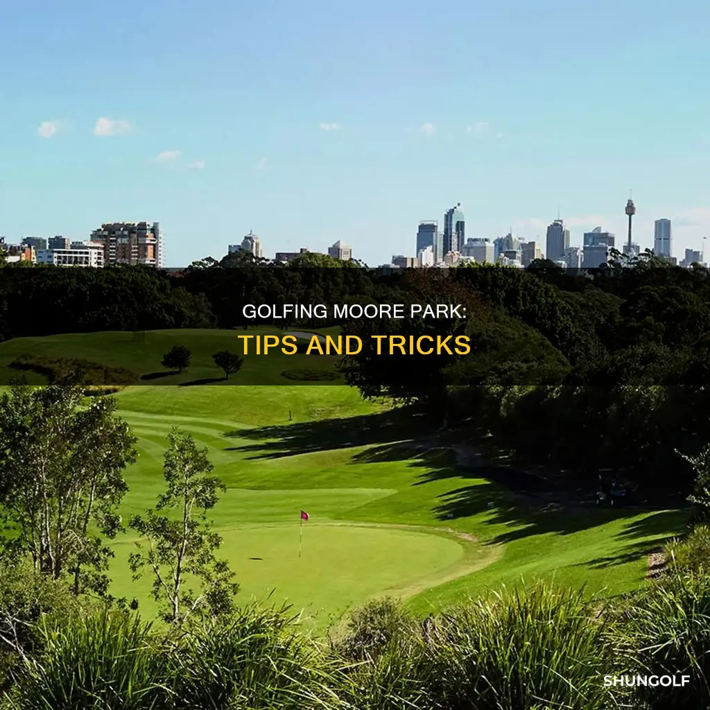 how to golf moore park