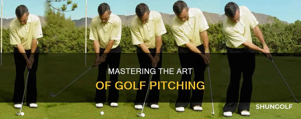 how to golf pitch