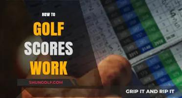 Understanding Golf Scores: A Beginner's Guide to Scoring