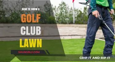 Mastering the Art of Growing a Perfect Golf Club Lawn