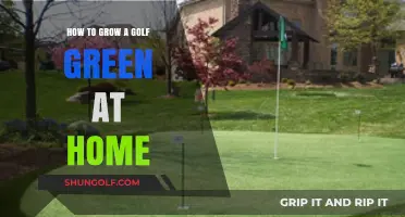 Mastering Home Golf Greens: A Step-by-Step Growing Guide