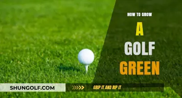 The Ultimate Guide to Growing a Golf Green