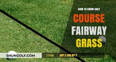 Mastering Fairway Grass Growth: Essential Tips for Golf Course Turf
