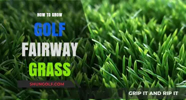 Golf Fairway Grass: Secrets to a Healthy, Lush Course