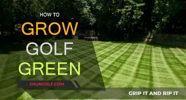 The Ultimate Guide to Growing Golf Greens