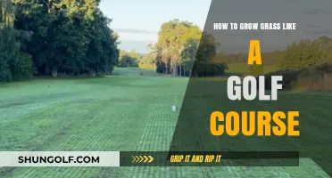 Achieve Perfect Greens: Secrets to Growing Golf Course-Quality Grass