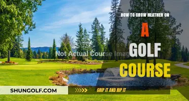Mastering Heather Growth: Enhancing Golf Course Aesthetics and Playability