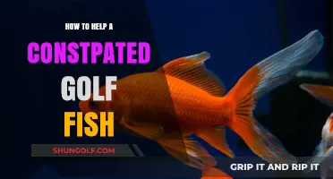 Relieving Constipation in Golf Fish: Effective Tips and Remedies
