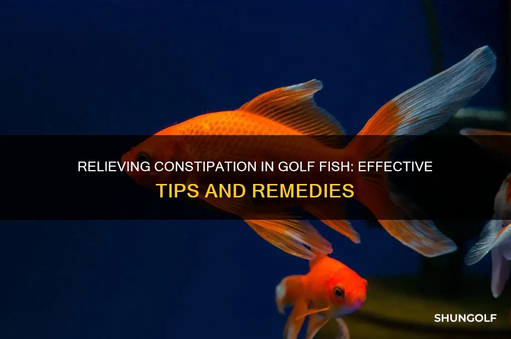how to help a constpated golf fish