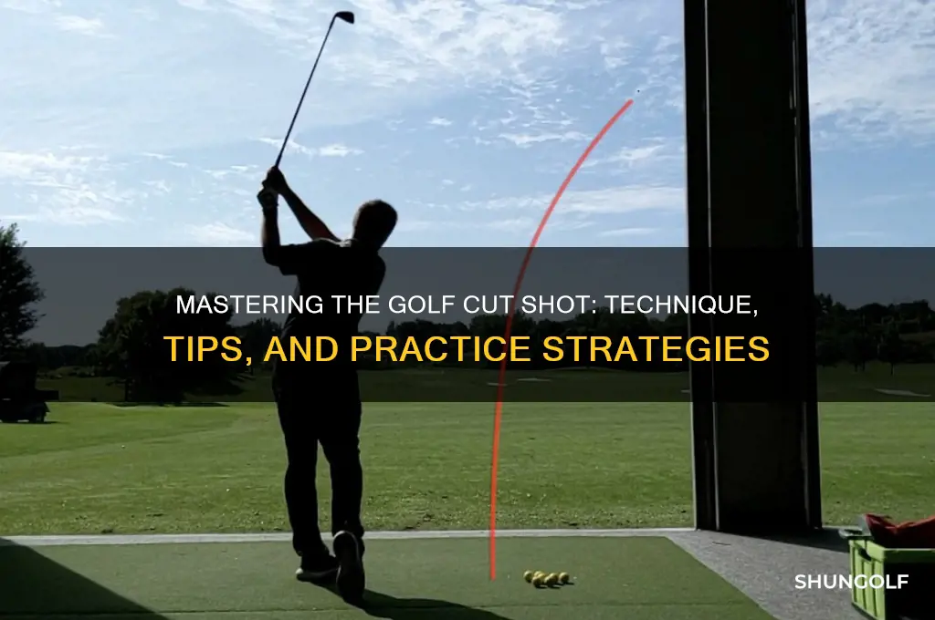 how to hit a cut in golf