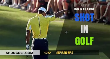 Mastering the Drop Shot: A Golfer's Guide to Precision Play