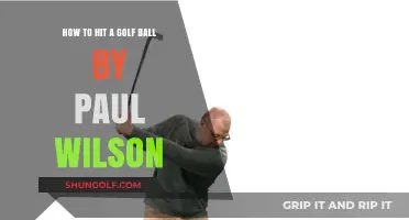 Mastering the Golf Swing: A Comprehensive Guide by Paul Wilson