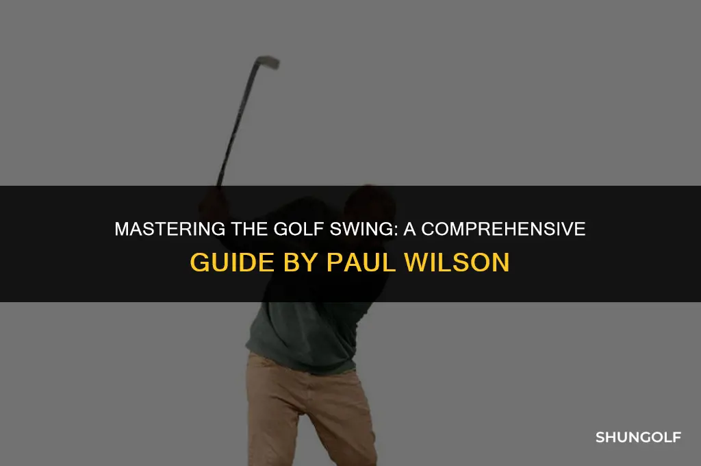 how to hit a golf ball by paul wilson