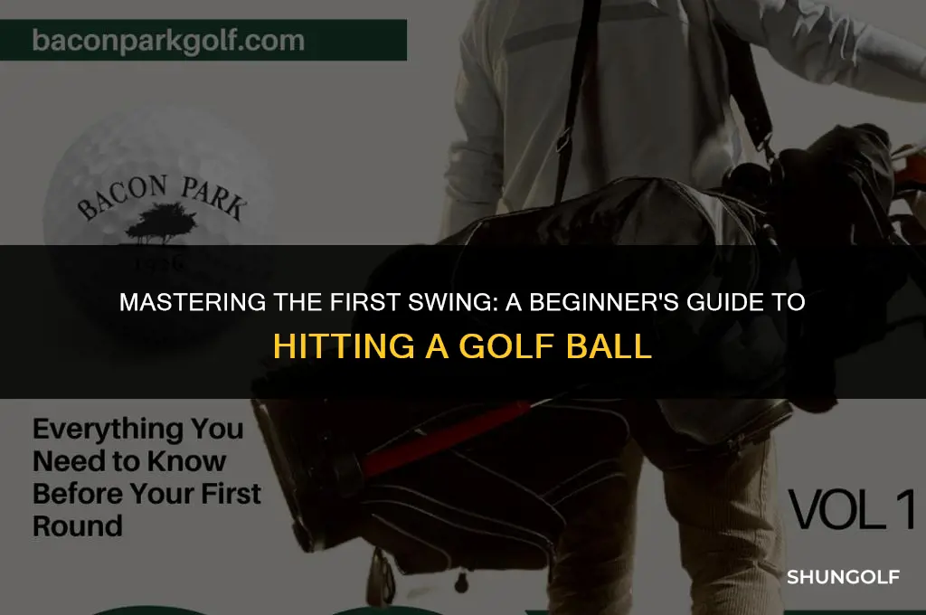 how to hit a golf ball for the first time