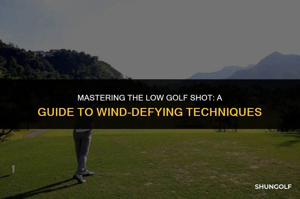 how to hit a low golf shot into the wind