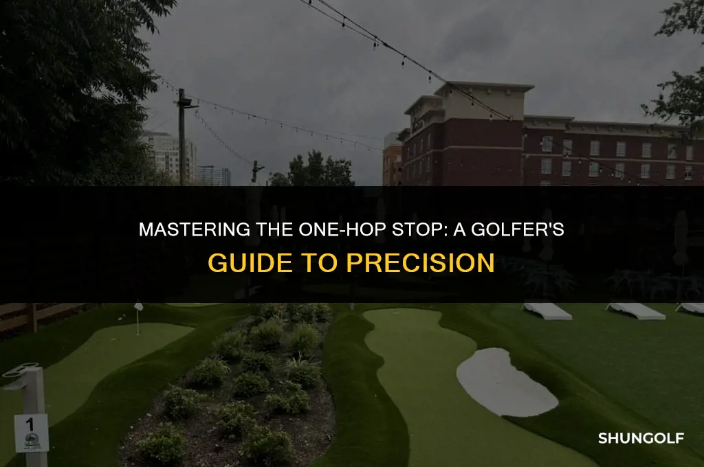 how to hit a one hop and stop golf shot