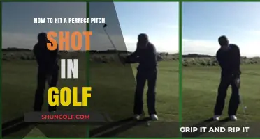 Mastering the Perfect Pitch Shot: A Golfer's Guide