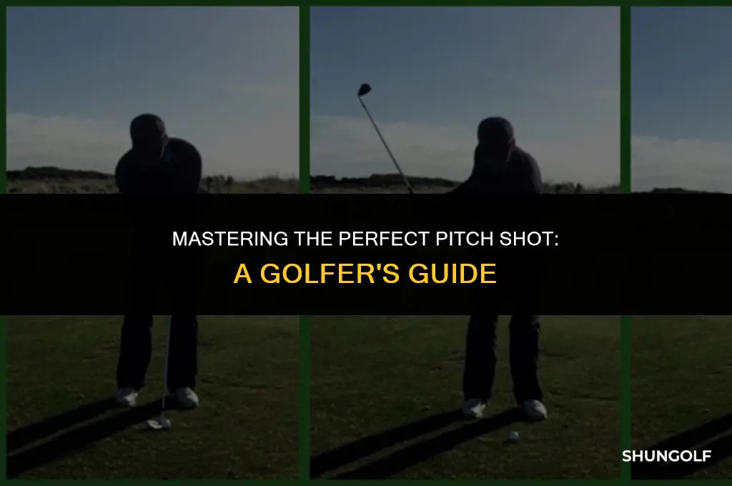 how to hit a perfect pitch shot in golf