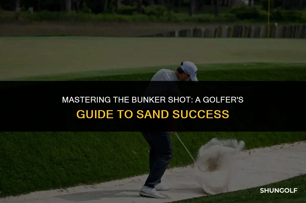 how to hit abunker shot in golf