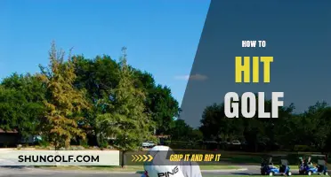 Golf Swing Basics: Master the Art of Hitting
