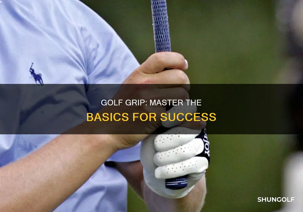 how to hold golf stick