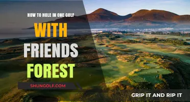 Mastering the Hole-in-One: Golf Tips for Forest Course Fun with Friends