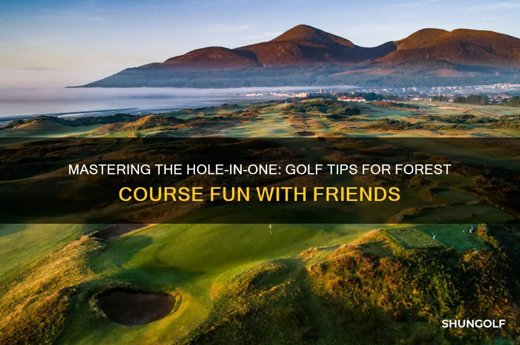 how to hole in one golf with friends forest