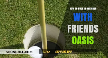 Mastering the Hole-in-One: Golf Tips for Friends at Oasis