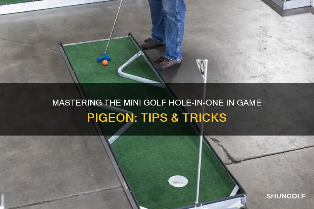 how to hole in one mini golf game pigeon