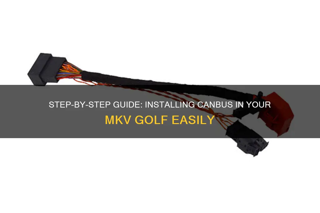 how to install canbus in mkv golf