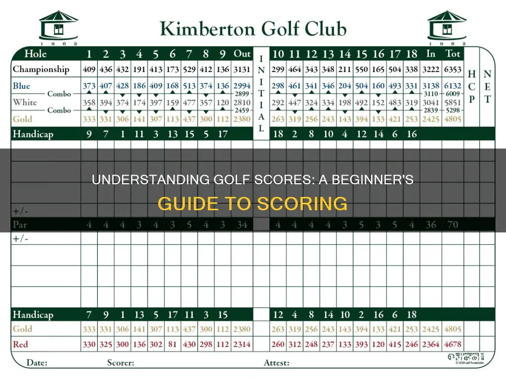 how to interpret golf scores