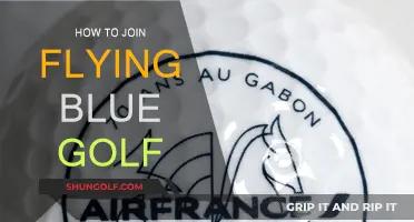 Joining Flying Blue Golf: Steps to Take Advantage