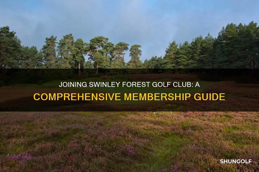 how to join swinley forest golf club