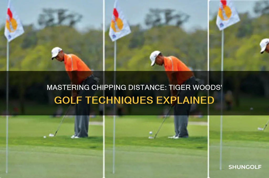how to judge chipping distance tiger woods golf