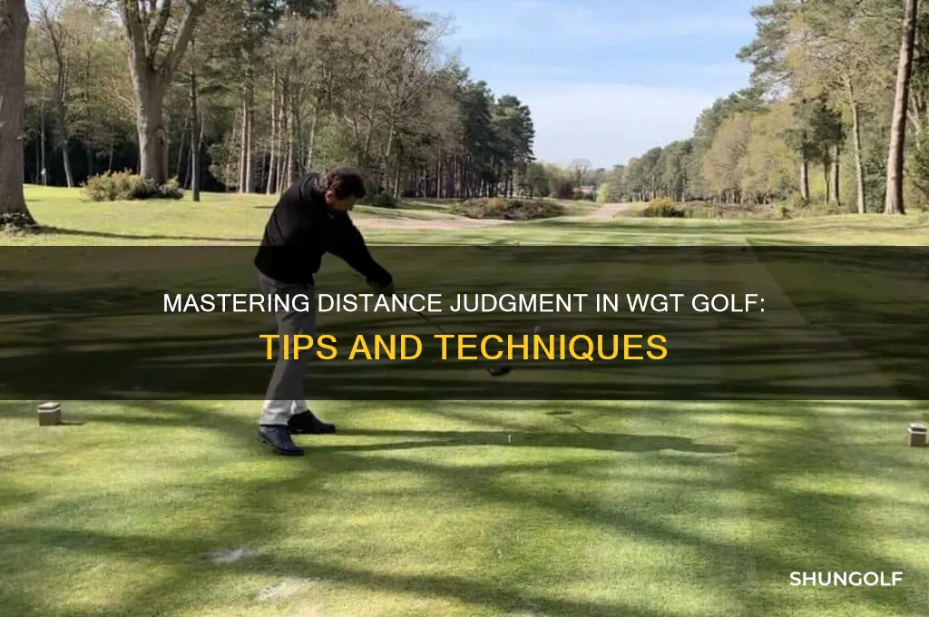 how to judge distance in wgt golf