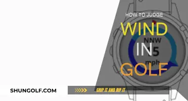 Mastering Wind in Golf: Judging Factors